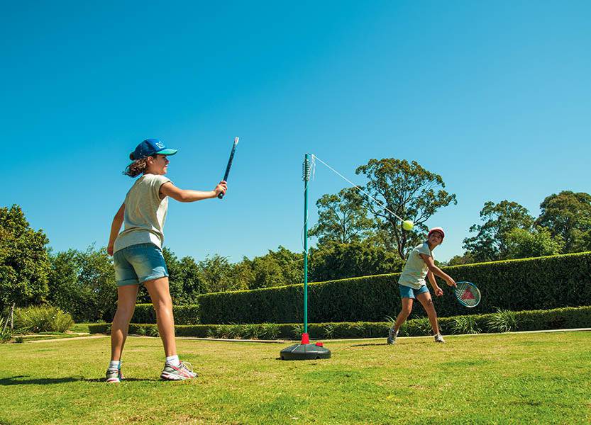 HART Swing Ball Set - Image 3