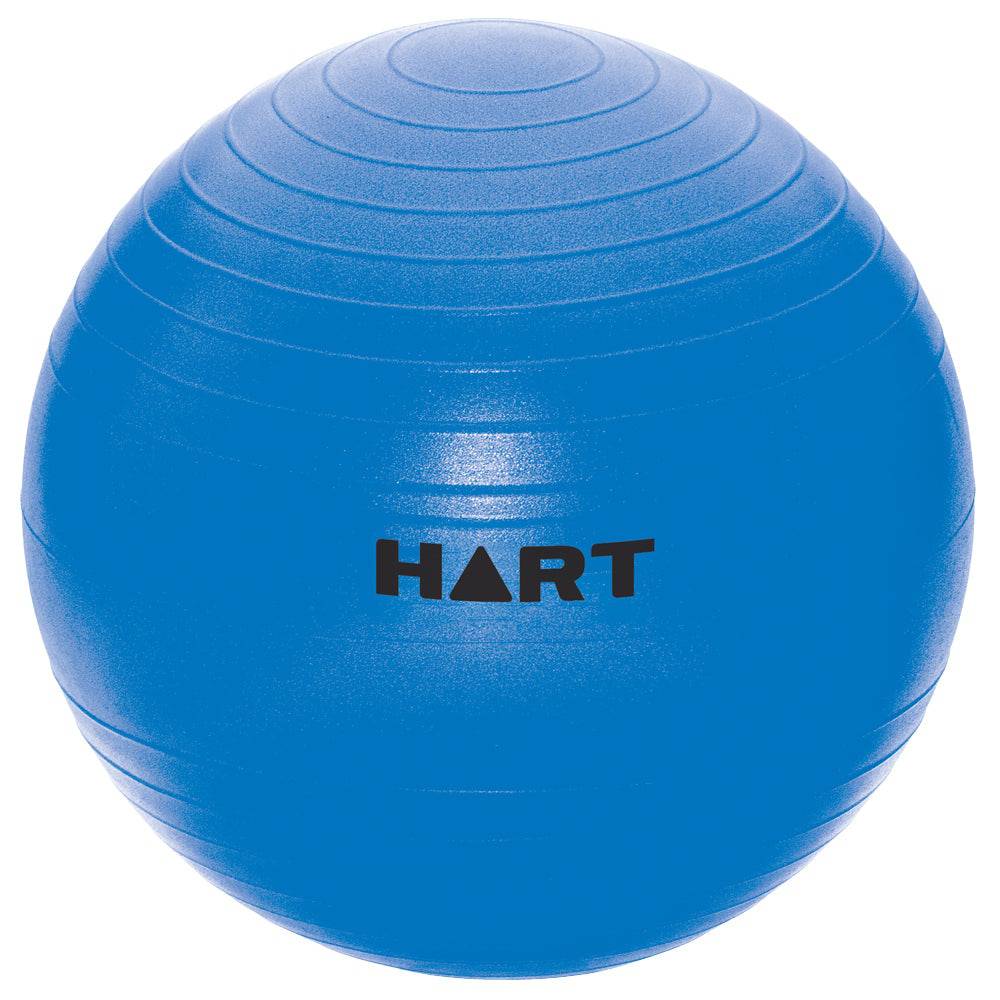 HART Swiss Balls - Image 3