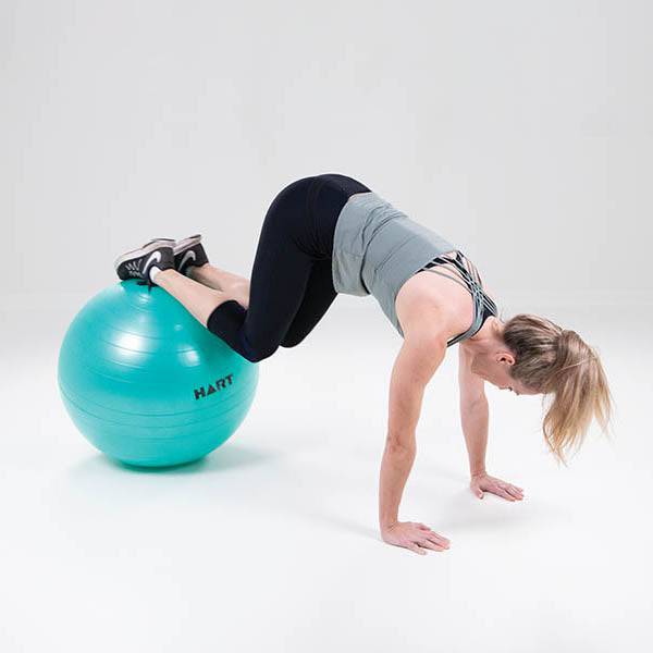 HART Swiss Balls - Image 4