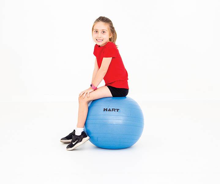 HART Swiss Balls - Image 5