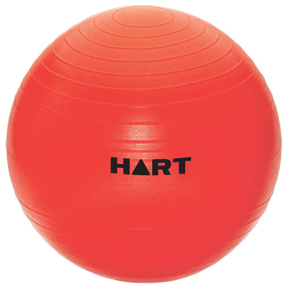HART Swiss Balls - Image 6